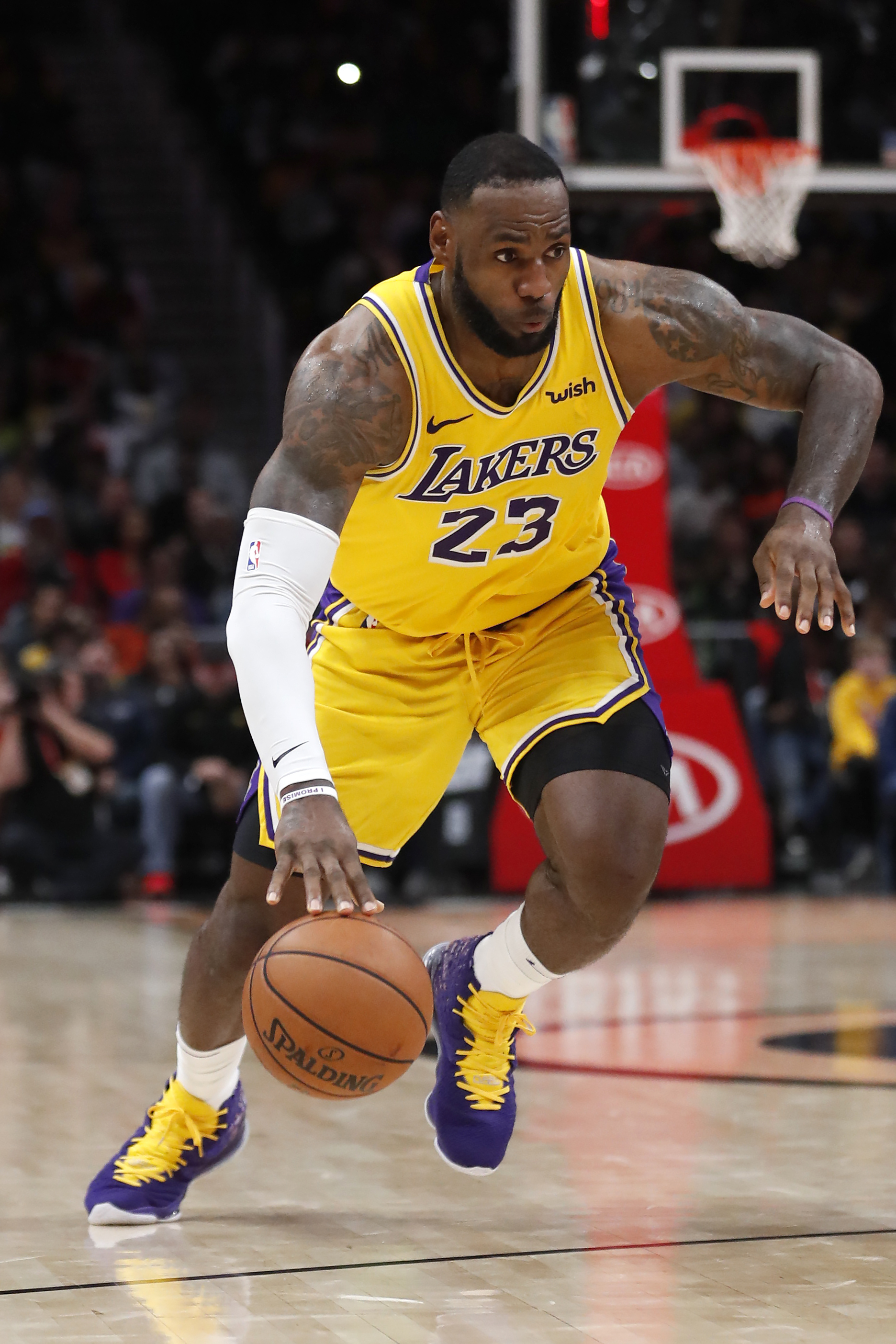 本土生态中 本土生态中